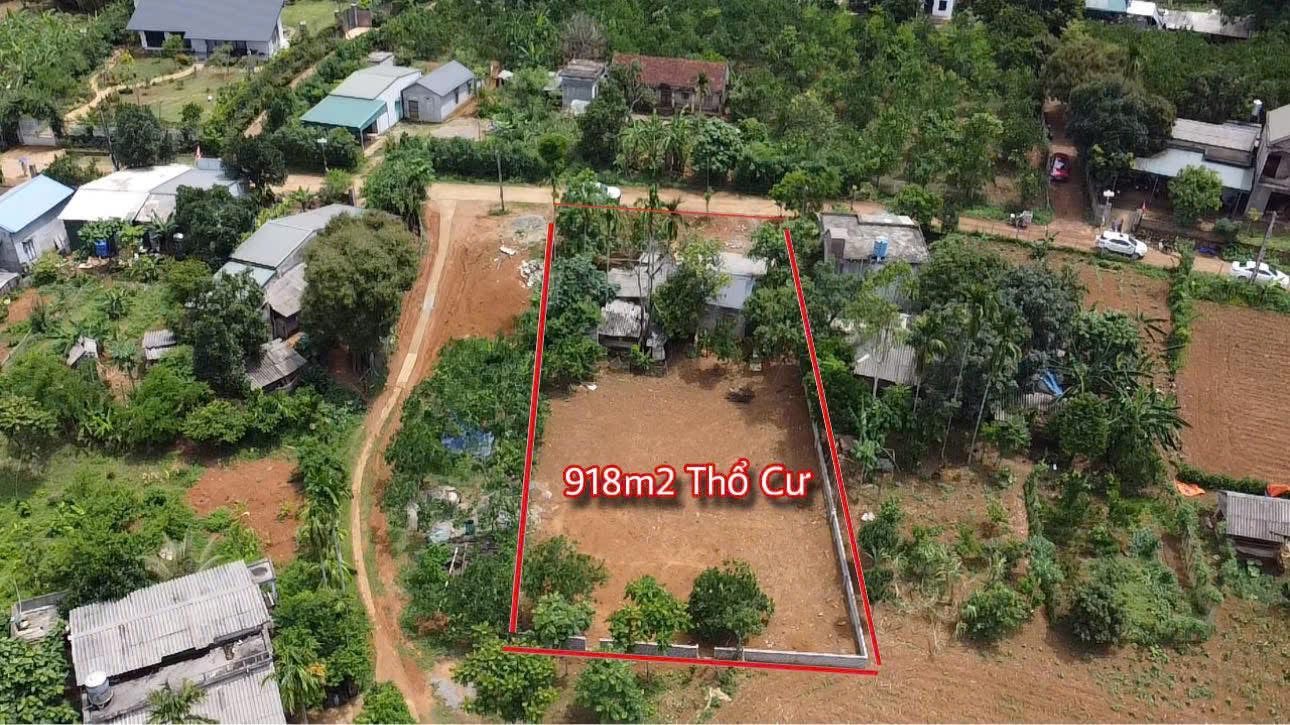 Bán gần 1000M full thổ cư bám đường liên xã 2 ô tô tránh_đất vuông vắn_Cao Phong Hoà Bình_1,x tỷ - Ảnh chính
